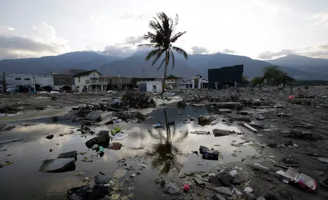 FILE - A lone tree stands in the debris from structures that were wiped out after a massive earthquake and tsunami hit Palu, Central Sulawesi, Indonesia, Thursday, Oct. 4, 2018. (AP Photo/Aaron Favila, File)