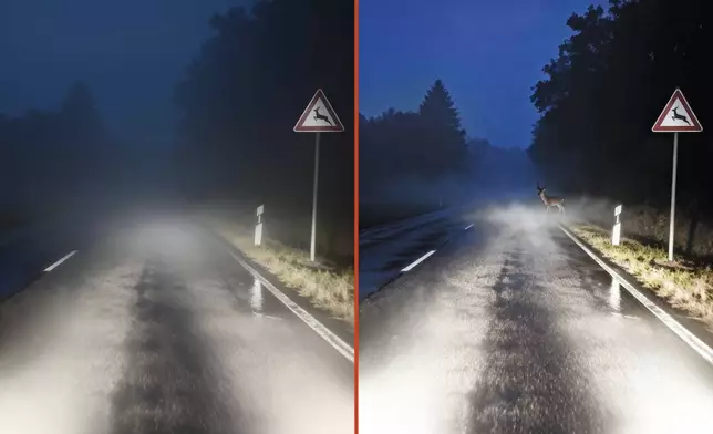 Night vision camera systems provide superior visibility in low-light conditions compared with conventional cameras.