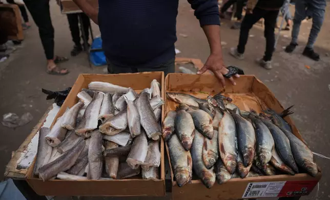 A Palestinian vendor displays sardines for sale on a street of a local market in Gaza City, Friday, Dec. 19, 2025. (AP Photo/Abdel Kareem Hana)