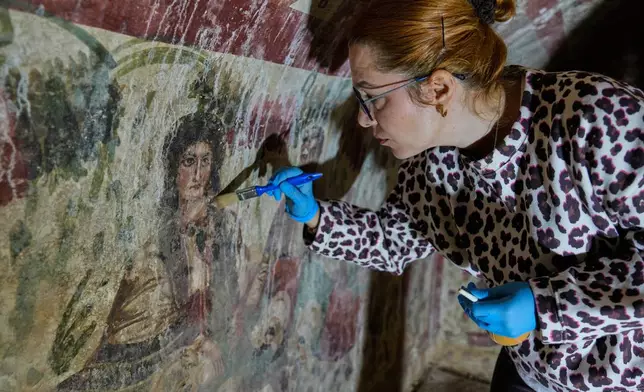 Archaeologist cleans and restores frescoes inside a 3rd-century tomb where a rare early Christian depiction of Jesus as the "Good Shepherd" was discovered, in Iznik, Turkey, Friday, Dec. 12, 2025. (AP Photo/Khalil Hamra)