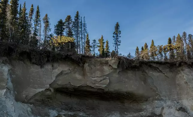 Erosion is visible on the banks of the Kobuk River near Ambler, Alaska, Tuesday, Sept. 30, 2025. (AP Photo/Annika Hammerschlag)