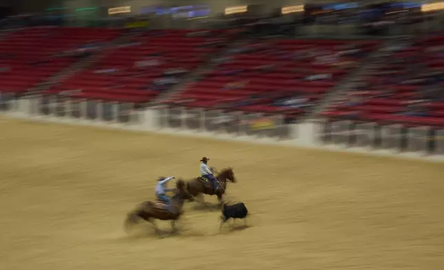 Cowboys compete during the World Series of Team Roping at the South Point hotel-casino in Las Vegas Tuesday, Dec. 9, 2025, in Las Vegas. (AP Photo/John Locher)