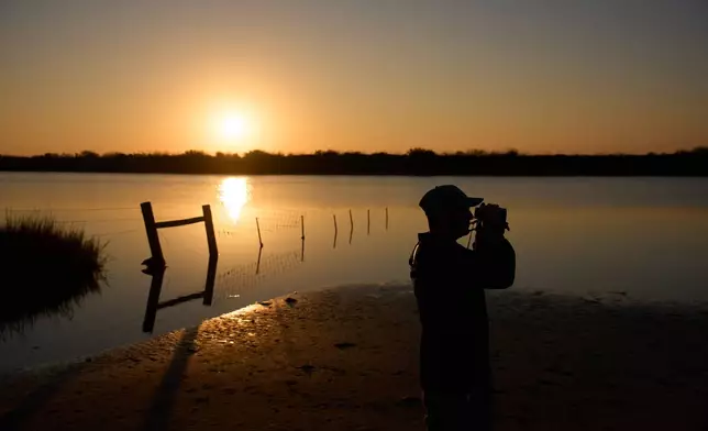 Carter Crouch, Director of Gulf Coast Programs at the International Crane Foundation, looks through binoculars as the sun rises at the Wolfberry Whooping Crane Sanctuary, Thursday, Dec. 11, 2025, near Seadrift, Texas. (AP Photo/John Locher)