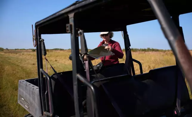 Julie Shackelford, Texas State Director at The Conservation Fund, unfurls a map on land acquired by The Conservation Fund to be used as a whooping crane sanctuary, Thursday, Dec. 11, 2025, near Seadrift, Texas. (AP Photo/John Locher)
