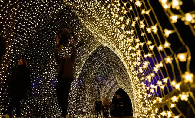 FILE - A man playfully tosses a child in the air as visitors walk through the Winter Cathedral light display at the Chicago Botanic Garden's Lightscape holiday event in Glencoe, Ill., Nov. 25, 2025. (AP Photo/Erin Hooley, File)