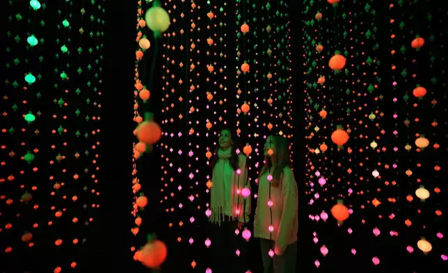 FILE - Visitors look at the installations on display along the Christmas light trail at Kew Gardens in London, Nov. 13, 2025. (AP Photo/Kin Cheung, File)