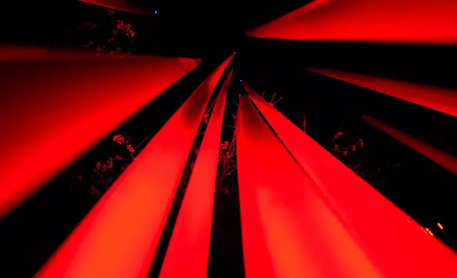 FILE - Herbum, a grass tuft with stems that stretch skyward, is on display as part of the Chicago Botanic Garden's Lightscape holiday event in Glencoe, Ill., Nov. 25, 2025. (AP Photo/Erin Hooley, File)