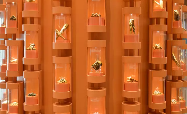 DH's Government Chinese Medicines Testing Institute opens its permanent premises, offering free guided tours of Chinese Medicines Herbarium and medicinal plant garden starting tomorrow  Source: HKSAR Government Press Releases