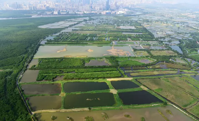 Mai Po Inner Deep Bay in Hong Kong and Chongming Dongtan National Nature Reserve in Shanghai established as sister wetlands  Source: HKSAR Government Press Releases