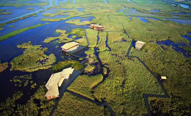 Mai Po Inner Deep Bay in Hong Kong and Chongming Dongtan National Nature Reserve in Shanghai established as sister wetlands  Source: HKSAR Government Press Releases