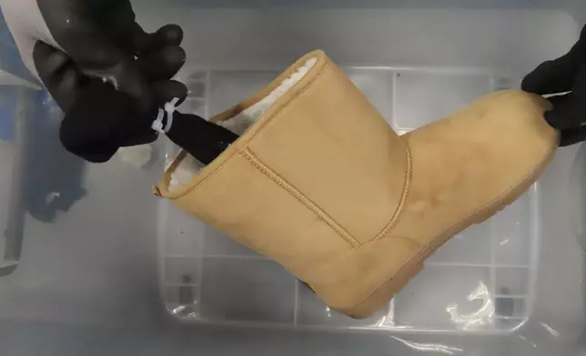 Hong Kong Customs seizes live lizards of suspected scheduled endangered species Source: HKSAR Government Press Releases