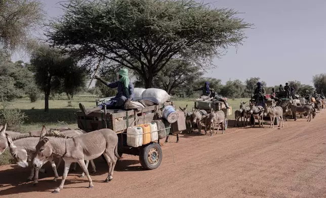 A caravan of Peul, herders who have traditionally raised animals across lands from Senegal to Nigeria, during transhumance, moving livestock from one grazing area to another, near Labgar, Louga region, Senegal, Oct. 16, 2025. (AP Photo/Andrea Ferro)