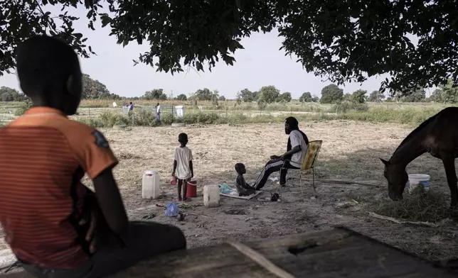 Fode Diome, a farmer, guards his fields with some of his children near Ndofane, Kaolack region, Senegal, Oct. 14, 2025. (AP Photo/Andrea Ferro)