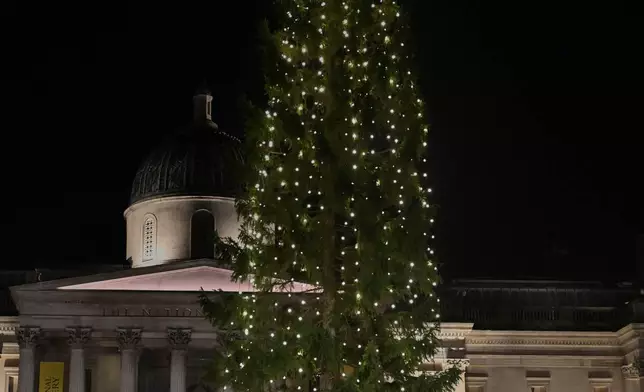 The traditional lighting up ceremony starts for the annual Norwegian gifted Christmas tree in Trafalgar Square, in London, England, Thursday, Dec. 4, 2025. (AP Photo/Thomas Krych)