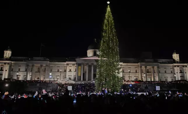 The traditional lighting up ceremony starts for the annual Norwegian gifted Christmas tree in Trafalgar Square, in London, England, Thursday, Dec. 4, 2025. (AP Photo/Thomas Krych)