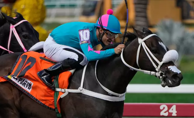 A jockey rides Latina Parts during the 56th Jockey Challenge at the Rinconada racetrack in Caracas, Venezuela, Sunday, Dec. 14, 2025. (AP Photo/Arian Cubillos)