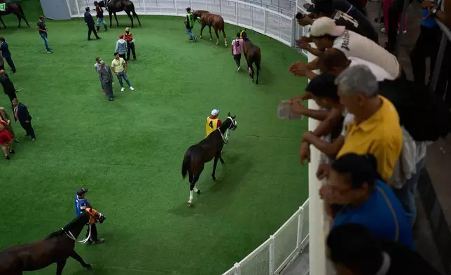 Grooms parade horses prior to a race during the 56th Jockey Challenge at the Rinconada racetrack in Caracas, Venezuela, Sunday, Dec. 14, 2025. (AP Photo/Arian Cubillos)