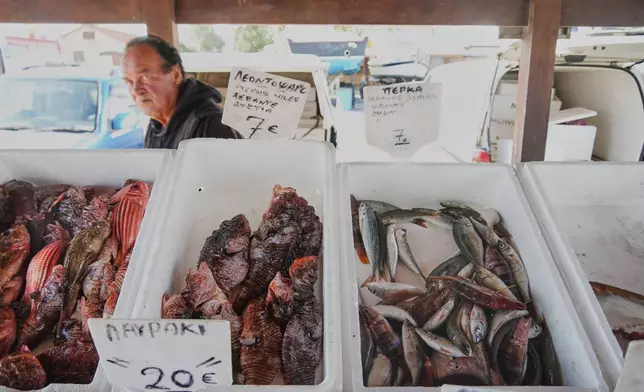 A man walks behind lionfish, center, and other fish at a fish market at a harbor in Larnaca, Cyprus, in the eastern Mediterranean, Saturday, Dec. 20, 2025. (AP Photo/Petros Karadjias)