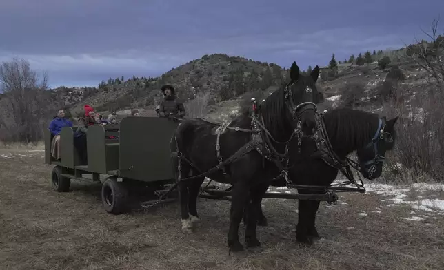Tourists ride in a horse-pulled wagon in lieu of a sleigh Thursday, Dec. 18, 2025, in Edwards, Colo. (AP Photo/Brittany Peterson)