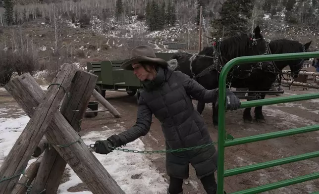 Nicole Godley closes a gate Thursday, Dec. 18, 2025, in Edwards, Colo. The owner of Bearcat Stables traded sleighs for wagons to transport tourists as a snow drought tightens its grip on the U.S. West. (AP Photo/Brittany Peterson)