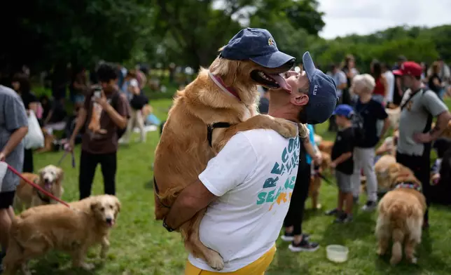 Maximiliano Rivero holds up his pet Manola at a Palermo neighborhood park as people try to set a world record of most Golden Retrievers gathered in a park, in Buenos Aires, Argentina, Monday, Dec. 8, 2025. (AP Photo/Natacha Pisarenko)
