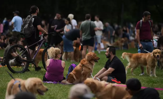 Golden Retrievers are gathered at a Palermo neighborhood park as people try to set a world record of most Golden Retrievers gathered in a park, in Buenos Aires, Argentina, Monday, Dec. 8, 2025. (AP Photo/Natacha Pisarenko)
