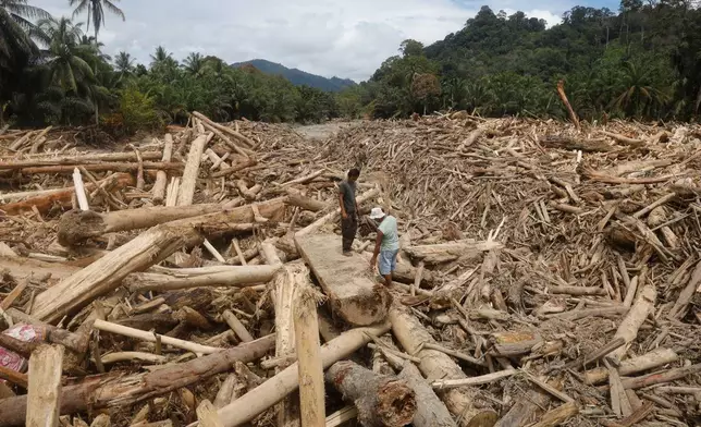 Men stand on logs swept away by flash flood in Batang Toru, North Sumatra, Indonesia, Tuesday, Dec. 2, 2025. (AP Photo/Binsar Bakkara)