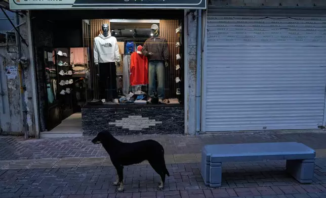 A stray dog stands in front of a shop in the port city of Bandar Anzali, Iran, Sunday, Dec. 21, 2025. (AP Photo/Vahid Salemi)
