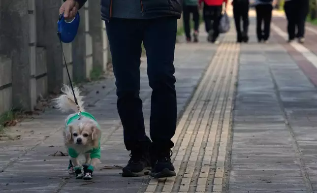 A man walks his dog at a sidewalk in the port city of Bandar Anzali, Iran, Sunday, Dec. 21, 2025. (AP Photo/Vahid Salemi)