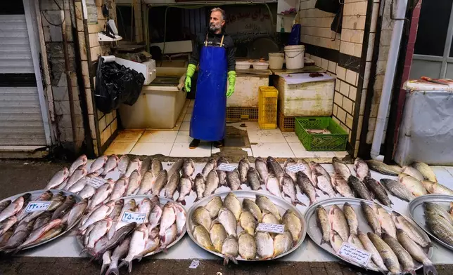 A fish seller waits for customers in the old main bazaar of the northern city of Rasht, Iran, on Friday, Dec. 26, 2025. (AP Photo/Vahid Salemi)