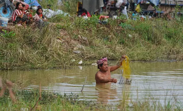 A man removes fishing net from a pond as he takes refuge in Srey Snam, Siem Reap province, Cambodia Wednesday, Dec. 10, 2025, after fleeing from home following a fighting between Cambodia and Thailand over territorial claims. (AP Photo/Heng Sinith)