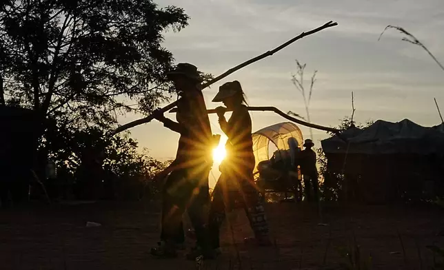 Local people are silhouetted as they carry wooden sticks to make a shelter in Srey Snam, Siem Reap province after fleeing home at Cambodia's border with Thailand, Tuesday, Dec. 9, 2025. (AP Photo/Heng Sinith)