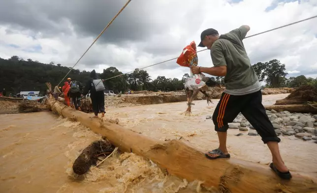 A man holds a chicken as he walks on log used as a makeshift bridge at a village affected by a flash flood in Batang Toru, North Sumatra, Indonesia, Monday, Dec. 1, 2025. (AP Photo/Binsar Bakkara)