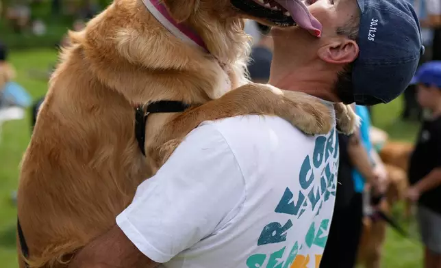 FILE - Maximiliano Rivero holds up his pet Manola at a Palermo neighborhood park as people set a world record of most Golden Retrievers gathered in a park, in Buenos Aires, Argentina, Monday, Dec. 8, 2025. (AP Photo/Natacha Pisarenko, File)