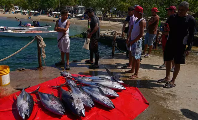 Fresh tuna is for sale on Macuto beach in Venezuela, Wednesday, Dec. 17, 2025. (AP Photo/Ariana Cubillos)