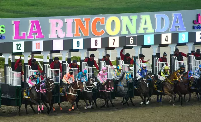 Jockeys launch from the starting gate during the 56th Jockey Challenge at Rinconada racetrack in Caracas, Venezuela, Sunday, Dec. 14, 2025. (AP Photo/Arian Cubillos)