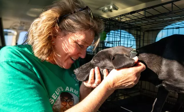 Sydney Galley pets a dog on a plane before passing it off to other volunteers, Nov. 23, 2025, at Culpeper Regional Airport in Brandy Station, Va. (AP Photo/Allison Robbert)