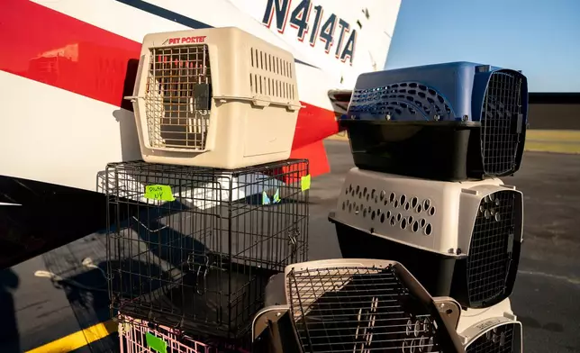 Pet crates, including one that survived a fatal crash in November 2024, are stacked up beside a plane, Nov. 23, 2025, at Culpeper Regional Airport in Brandy Station, Va. (AP Photo/Allison Robbert)