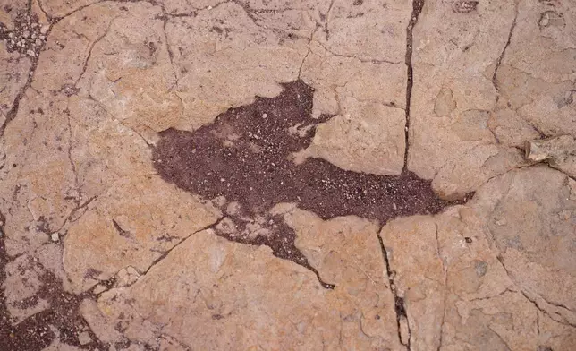A petrified footprint by a dinosaur is visible in Carreras Pampa in Toro Toro National Park, north of Potosi, Bolivia, Saturday, Dec. 6, 2025. (AP Photo/Juan Karita)