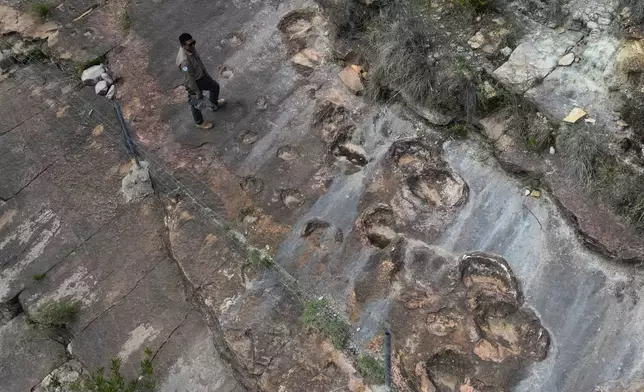 Park ranger José Vallejos stands next to petrified dinosaurs footprints in Carreras Pampa in Toro Toro National Park, north of Potosi, Bolivia, Saturday, Dec. 6, 2025. (AP Photo/Juan Karita)