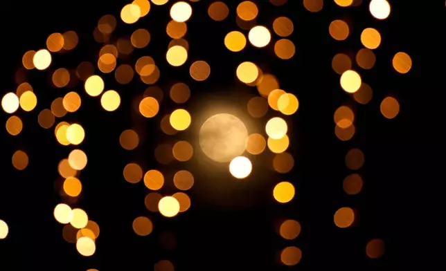 A supermoon, seen through decoration lights, rises up in the sky, in Istanbul, Turkey, Thursday, Dec. 4, 2025. (AP Photo/Emrah Gurel)