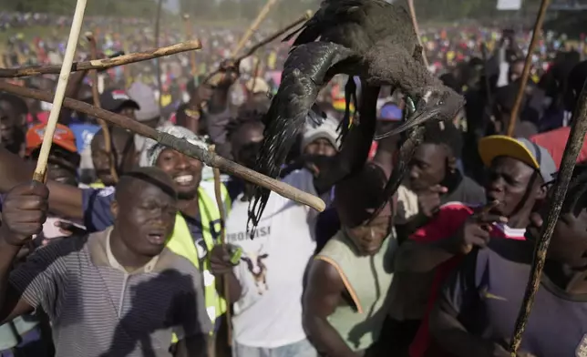 A crowd of spectators, holding a dead bird on a pole, dances and sings after bull Shakahola won bullfighting match, in Kakamega, Kenya, Saturday, Nov. 29, 2025. (AP Photo/Brian Inganga)