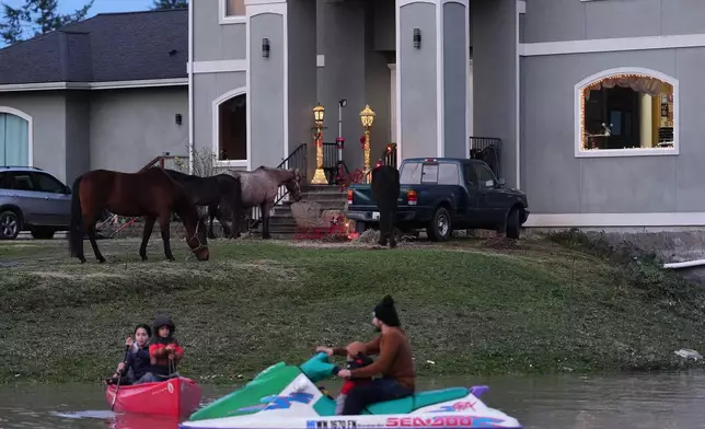 "E-man" Trujillo uses a jet-ski to pull his children in a canoe as the family's horses graze on high ground in near their front door after heavy rains led to historic flooding in the region Saturday, Dec. 13, 2025, in Burlington, Wash. (AP Photo/Lindsey Wasson)