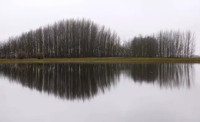 Trees are reflected in the water of an artificial lake in Kiskunmajsa, Hungary, Friday, Dec. 12, 2025. (AP Photo/Denes Erdos)
