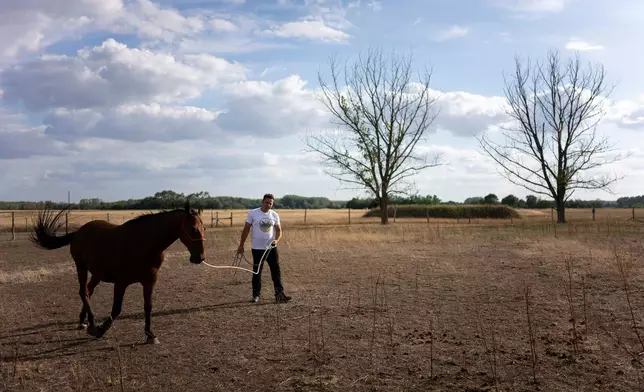 Szilárd Zerinváry member of the volunteer water guardians group walks his horse in his parched backyard in Kiskunmajsa, Hungary, Monday, July 28, 2025. (AP Photo/Denes Erdos)