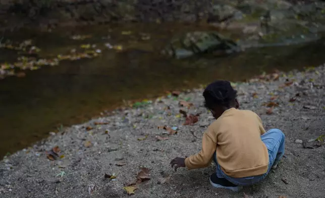 A child plays by the creek behind Collins Avenue during the Baltimore Gift Economy's third annual "Finding Home" gathering on Sunday, Oct. 19, 2025, in Baltimore. (AP Photo/Jessie Wardarski)