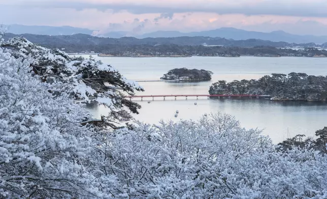Travel with the JR EAST PASS (Tohoku Area)