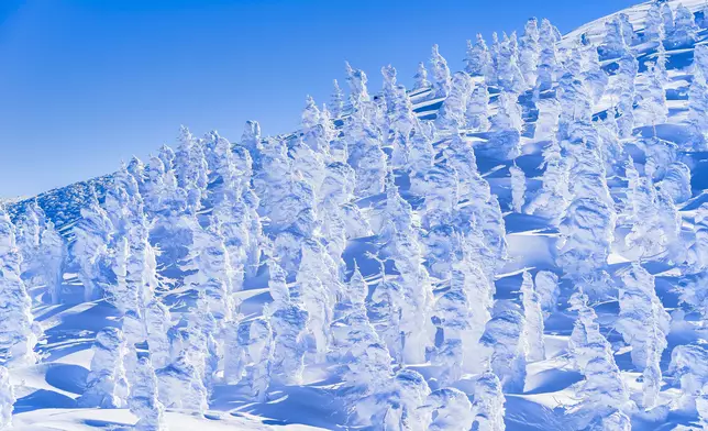 Travel with the JR EAST PASS (Tohoku Area)