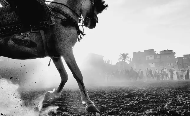 Bronze Award, “Timeless Framing” by Abdullah Salah (Egypt), OPPO Reno14 5G