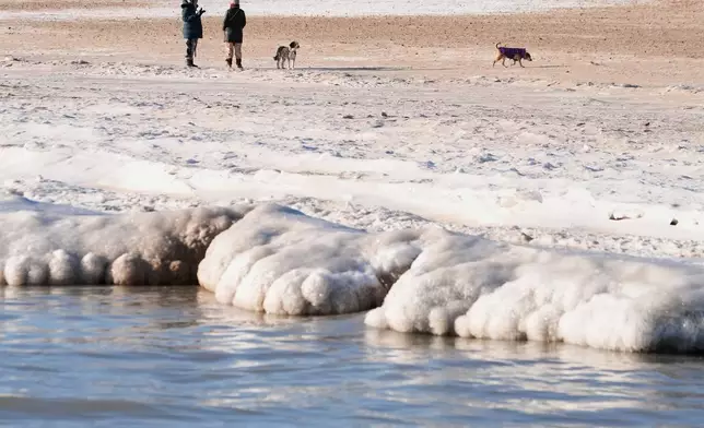 Ice forms along the Lake Michigan shore as People walk their dogs on a beach, Tuesday, Jan. 20, 2026, in Chicago. (AP Photo/Kiichiro Sato)